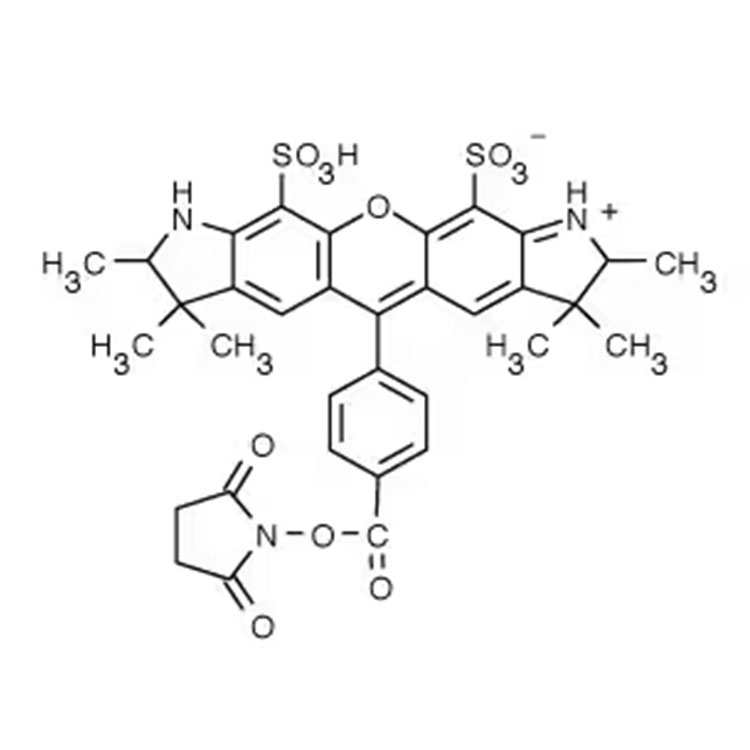 AF532-琥珀酰亚胺酯,AF532-NHS