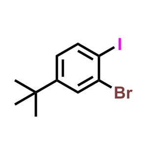 2-溴-4-叔丁基碘苯,2-bromo-4-(tert-butyl)-1-iodobenzene
