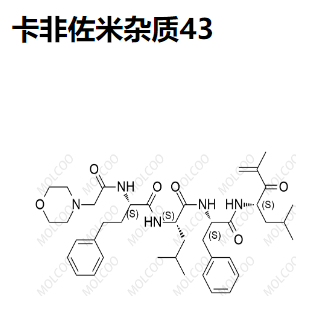 卡非佐米雜質(zhì)43,Carfilzomib Impurity 43