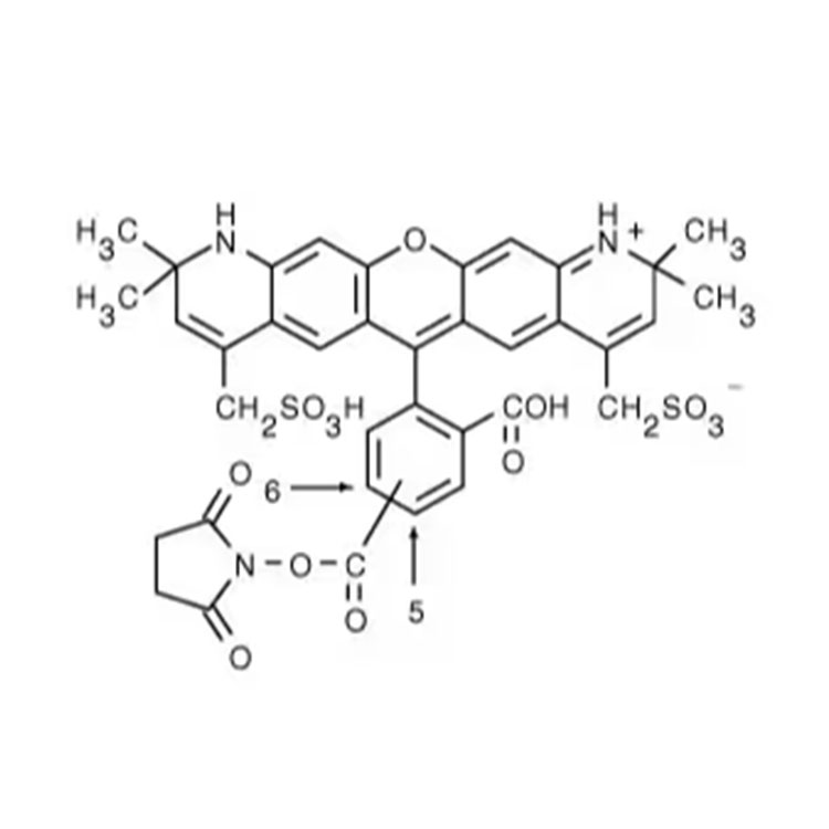 AF568-琥珀酰亞胺酯,AF568-NHS