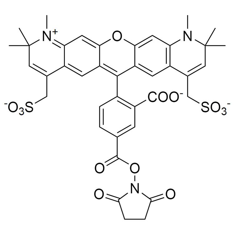 AF594-琥珀酰亞胺酯, 5-異構(gòu)體,AF594-NHS, 5-isomer