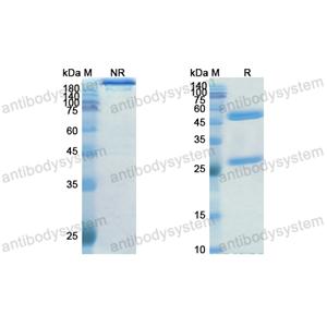 Research Grade Encelimab(DHD30404)