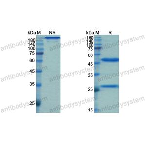 Research Grade Gomiliximab  (DHC21302)