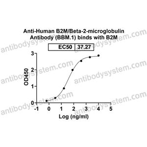 抗体：Human B2M/Beta-2-microglobulin Antibody (BBM.1) RHF46101