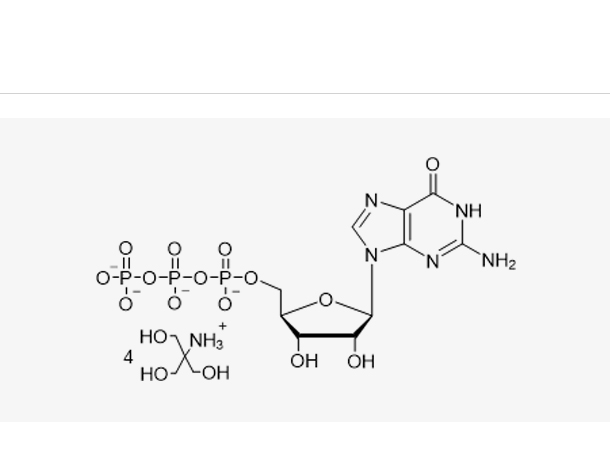 GTP Tris solution(100 mM),GTP Tris solution(100 mM)