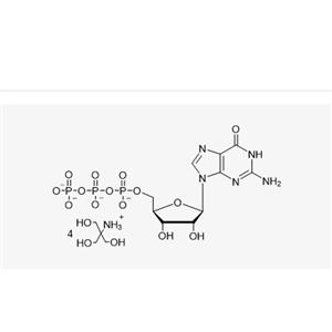 GTP Tris solution(100 mM),GTP Tris solution(100 mM)