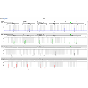 细胞系STR鉴定,Cell line STR identification