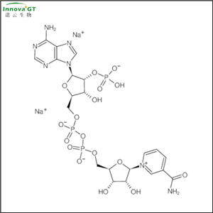 β-烟酰胺腺嘌呤二核苷酸磷酸二钠盐,NADP, Nicotinamide Adenine Dinucleotide Phosphate