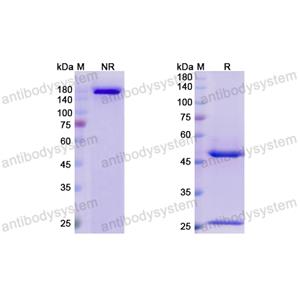 Research Grade Surzebiclimab  (DHJ28403)