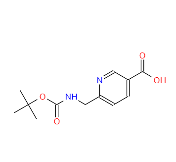 6-(BOC-氨基)甲基烟酸,6-((tert-butoxycarbonylamino)methyl)nicotinic acid