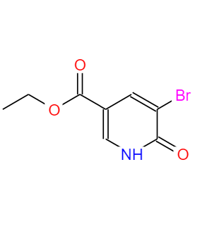 6-羥基-5-溴煙酸乙酯,Ethyl 5-bromo-6-hydroxynicotinate