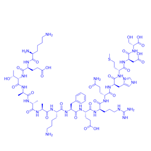 S标签肽,S Tag Peptide