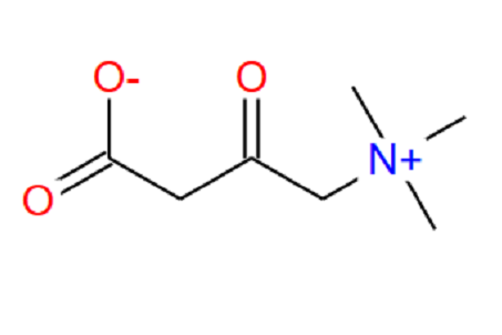 3-氧代-4-（三甲基氨）丁酸酯,3-oxo-4-(trimethylammonio)butanoate