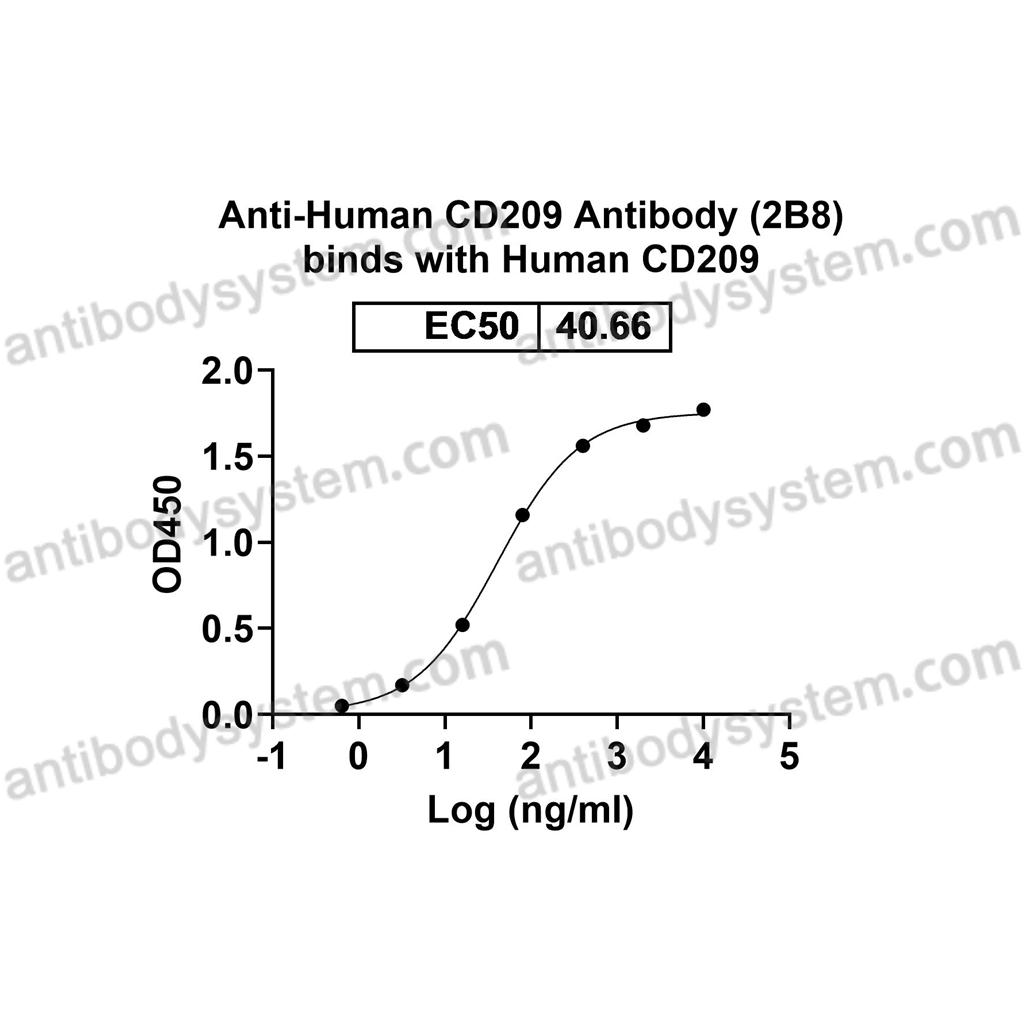 流式抗体：Human CD209 Antibody (2B8) FHJ61610,CD209