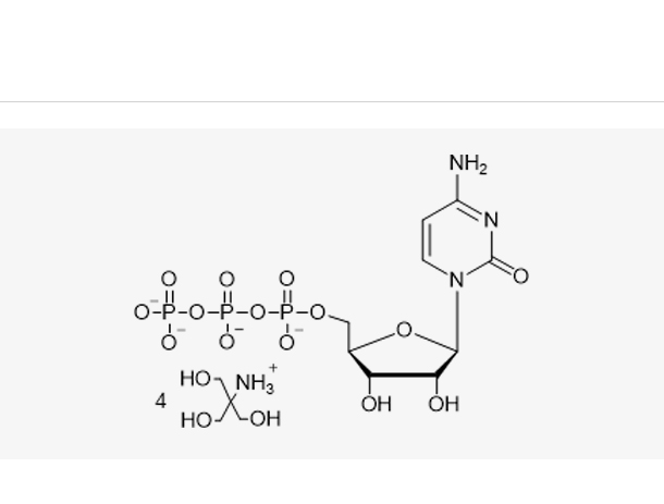 CTP Tris solution(100 mM),CTP Tris solution(100 mM)