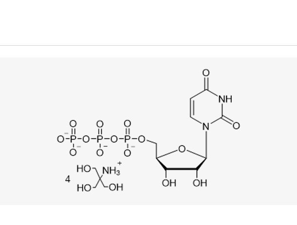 UTP Tris solution (100 mM),UTP Tris solution (100 mM)