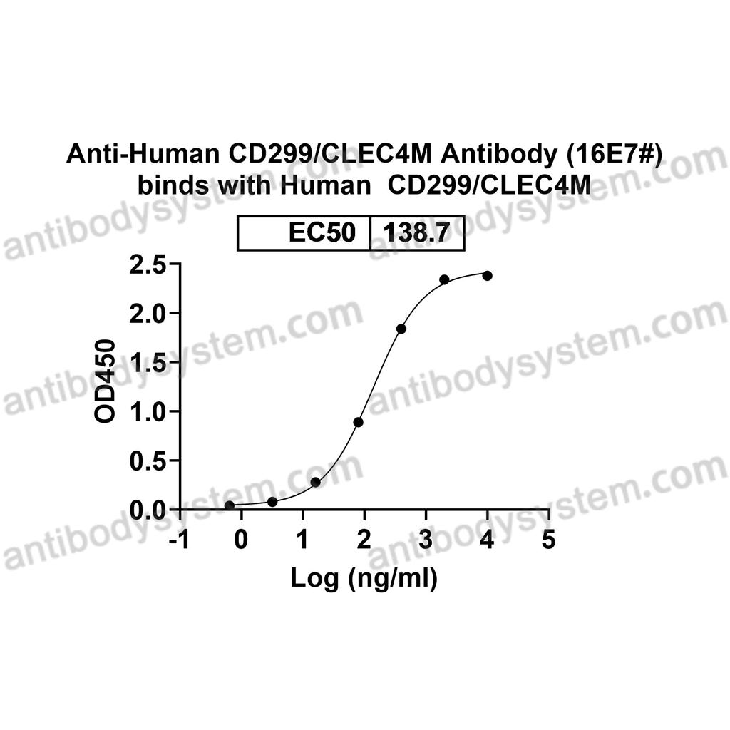 流式抗体：Human CD299/CLEC4M Antibody (16E7#) FHJ56010,CD299/CLEC4M