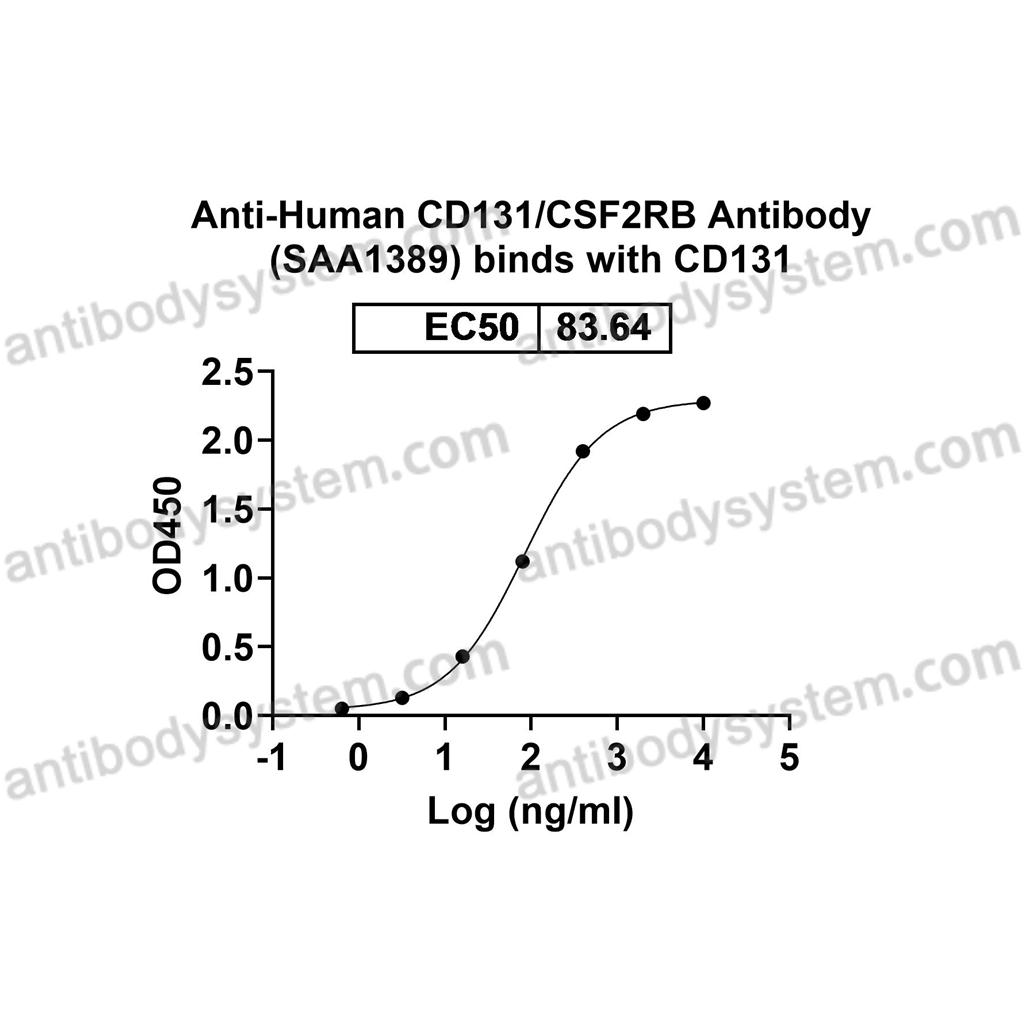 流式抗體：Human CD131/CSF2RB Antibody (SAA1389) FHE01520,CD131/CSF2RB