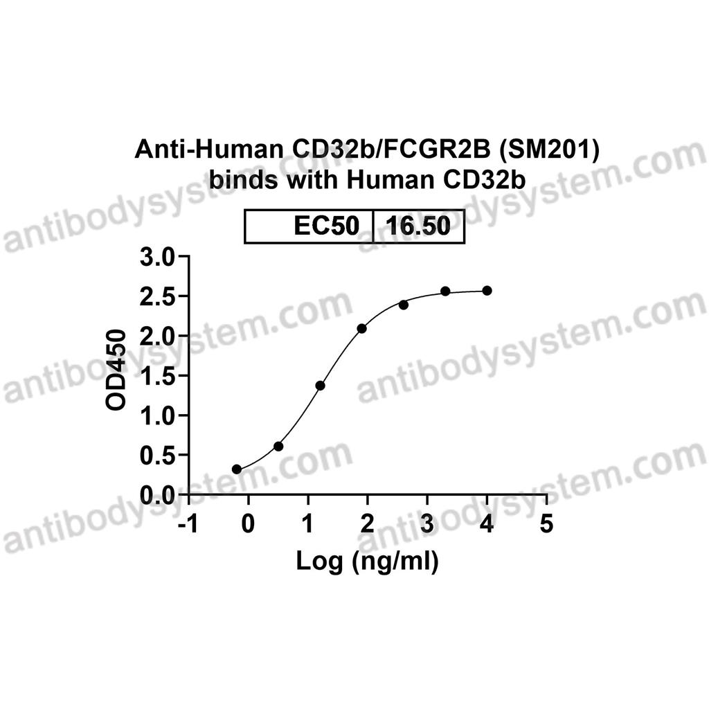 抗 Human CD32b/FCGR2B (SM201) 单克隆抗体,Research Grade Anti-Human CD32b/FCGR2B (SM201) DHD97906