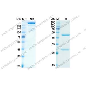 Research Grade Levilimab  (DHC36903)