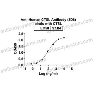 抗体：Human CTSL Antibody (3D8) RHC27301