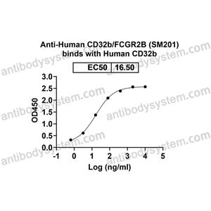 抗 Human CD32b/FCGR2B (SM201) 单克隆抗体,Research Grade Anti-Human CD32b/FCGR2B (SM201) DHD97906