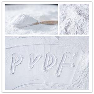 PVDF细粉,PVDF micropowder