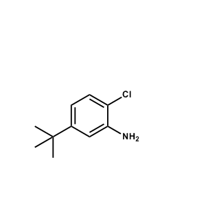 2-氯-5-叔丁基苯胺,5-tert-Butyl-2-chloro-phenylamine