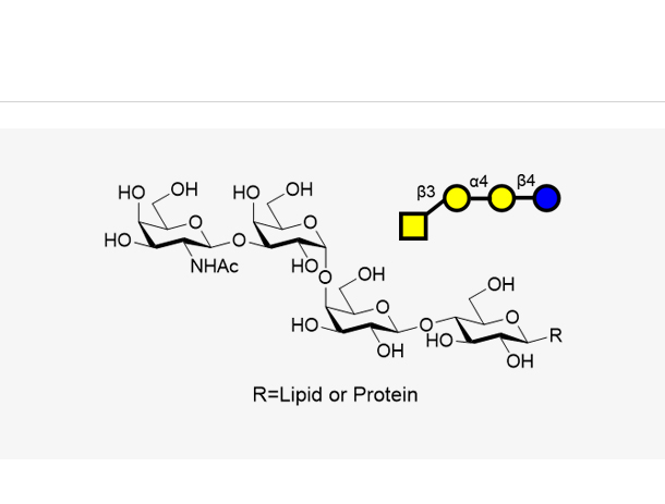 P ( Galb1,3Gala1,4Galb1,4GlcbR ),P ( Galb1,3Gala1,4Galb1,4GlcbR )