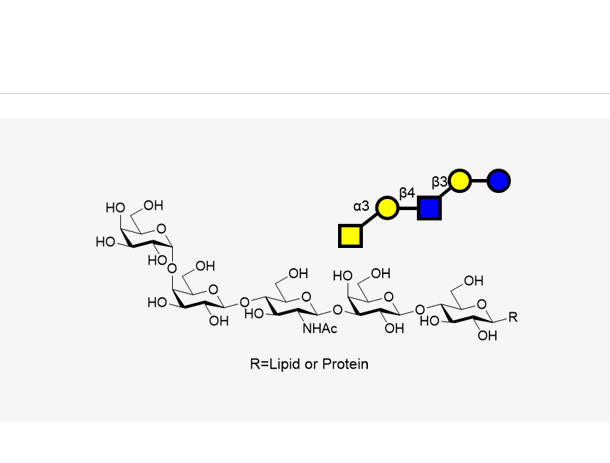 P1 ( Gala1,4Galb1,4GlcNAcb1,3Galb1,4GlcbR ),P1 ( Gala1,4Galb1,4GlcNAcb1,3Galb1,4GlcbR )