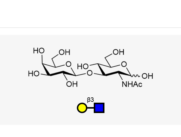 2-乙酰氨基-2-脱氧-3-O-(BETA-D-氟代半乳糖)-D-吡喃葡萄糖,LNB
