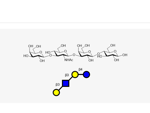 乳糖-N-四糖,LNT