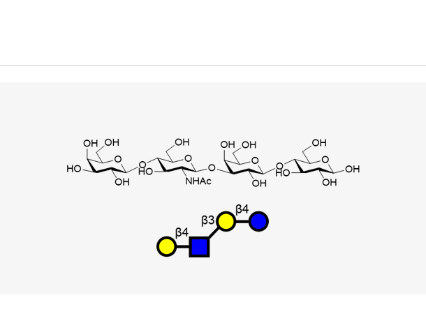 乳糖-N-新四糖,LNnT
