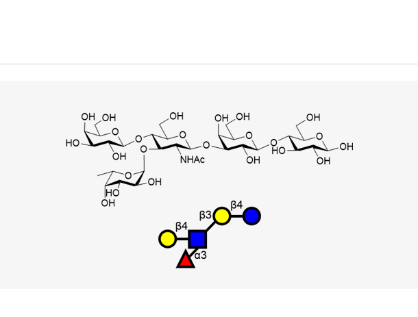 乳-N-岩藻五糖 Ⅲ,LNFP III
