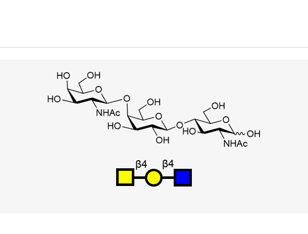 GalNAcb1, 4Galb1, 4GlcNAc,GalNAcb1, 4Galb1, 4GlcNAc