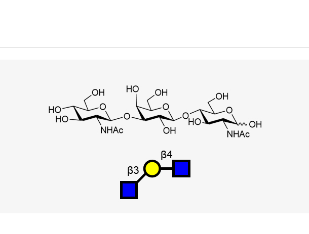 GlcNAcb1, 3Galb1, 4GlcNAc,GlcNAcb1, 3Galb1, 4GlcNAc