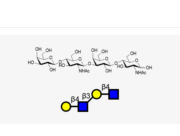 DiLacNAc(Galb1, 4GlcNAcb1, 3Galb1, 4GlcNAc),DiLacNAc(Galb1, 4GlcNAcb1, 3Galb1, 4GlcNAc)