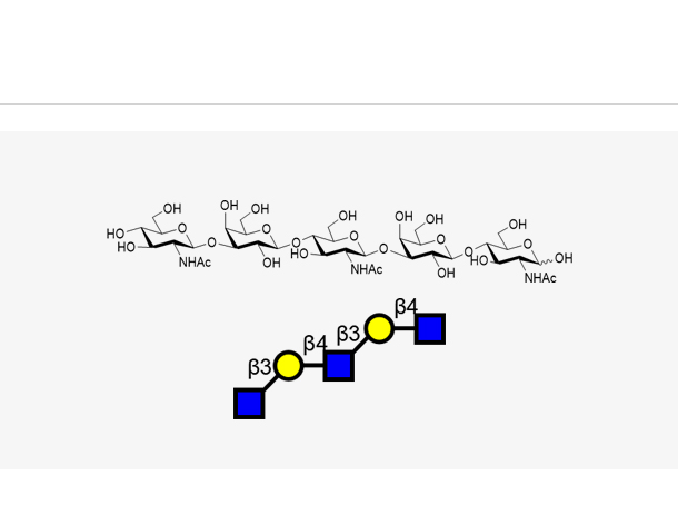 GlcNAcb1, 3Galb1, 4GlcNAcb1, 3Galb1, 4GlcNAc,GlcNAcb1, 3Galb1, 4GlcNAcb1, 3Galb1, 4GlcNAc