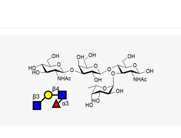 GlcNAcb1, 3Galb1, 4(Fuca1, 3)GlcNAc,GlcNAcb1, 3Galb1, 4(Fuca1, 3)GlcNAc