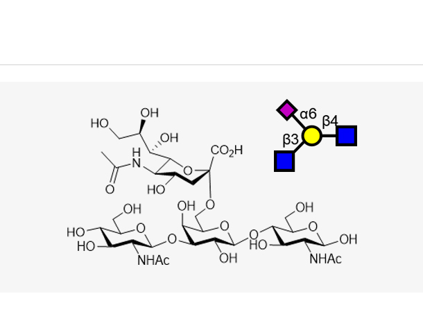 GlcNAcb1, 3(Neu5Aca2, 6)Galb1, 4GlcNAc,GlcNAcb1, 3(Neu5Aca2, 6)Galb1, 4GlcNAc