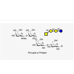 P ( Galb1,3Gala1,4Galb1,4GlcbR )