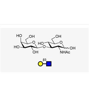 2-乙酰氨基-2-脱氧-3-O-(BETA-D-氟代半乳糖)-D-吡喃葡萄糖,LNB