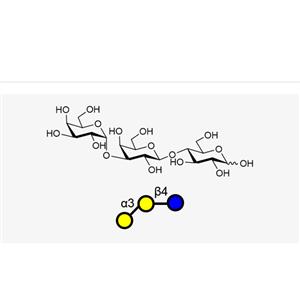 Gala1, 3Galb1, 4Glc,Gala1, 3Galb1, 4Glc