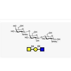 GalNAcb1, 4Galb1, 4GlcNAc,GalNAcb1, 4Galb1, 4GlcNAc