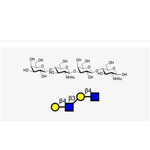 DiLacNAc(Galb1, 4GlcNAcb1, 3Galb1, 4GlcNAc)