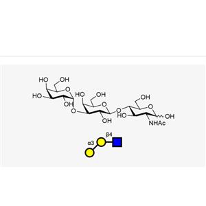 α-Gal Gala1,3Galb1,4GlcNAc