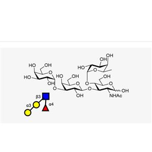 α-Gal LewisA Gala1, 3Galb1, 3(Fuca1, 4)GlcNAc,α-Gal LewisA Gala1, 3Galb1, 3(Fuca1, 4)GlcNAc