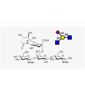 GlcNAcb1, 3(Neu5Aca2, 6)Galb1, 4GlcNAc