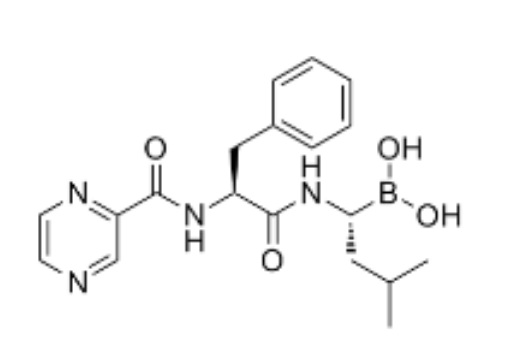 硼替佐米,Bortezomib