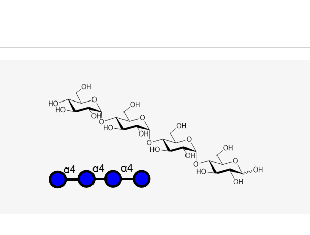 麦芽四糖,Maltotetraose